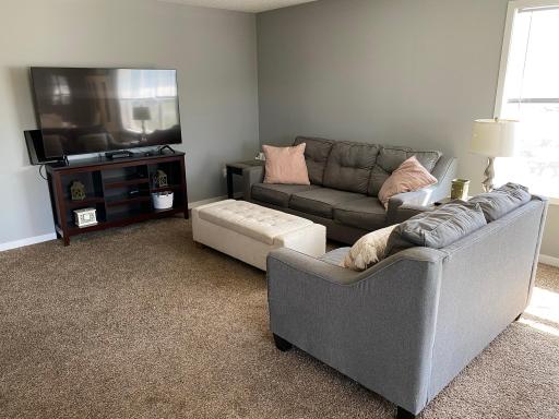 11956 Emery Village Drive N, Champlin, MN 55316