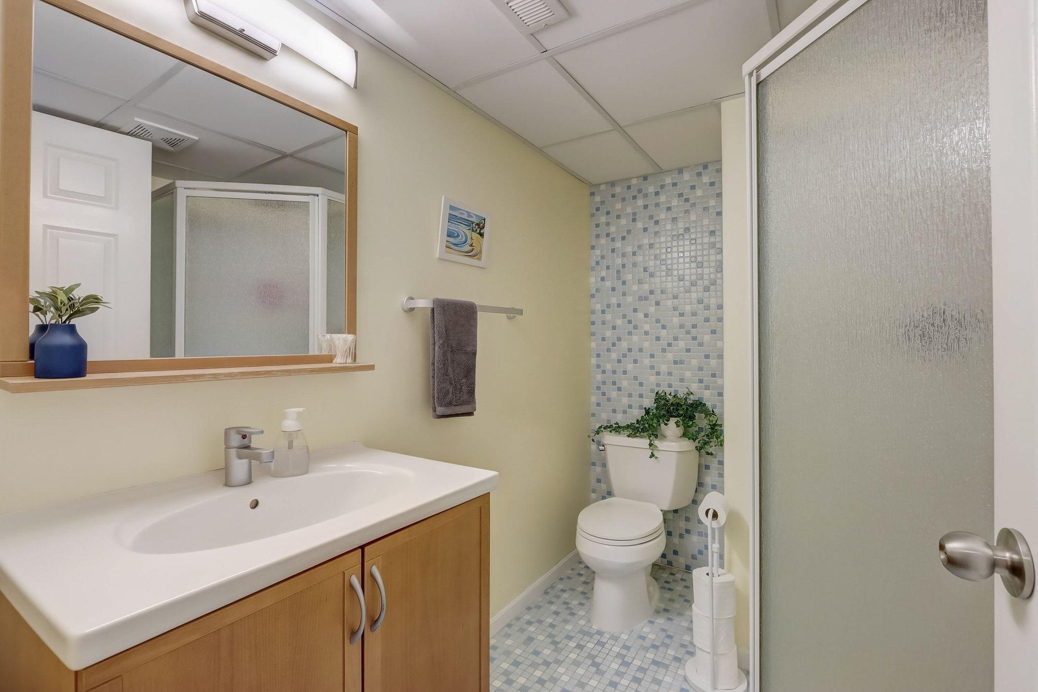 Lower level three-quarter bathroom.