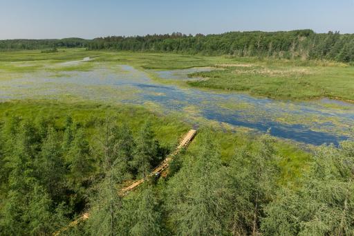 Private setting on Pine River with very little boat traffic or humans.