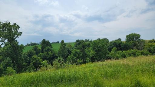 Photo for 29103 176th Street, Harmony, MN 55939 - Listing #6388166 29103 176th Street, Harmony, MN 55939