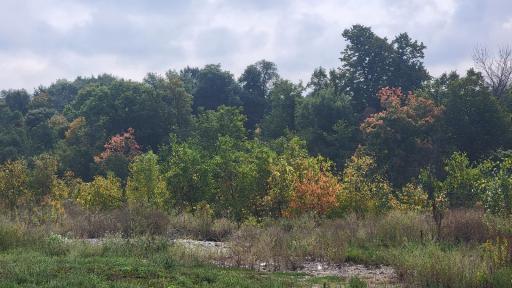 Photo for 29103 176th Street, Harmony, MN 55939 - Listing #6388166 29103 176th Street, Harmony, MN 55939