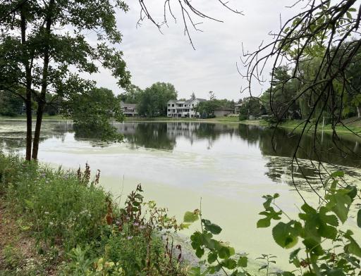 4800 Golf Terrace, Edina, MN 55424