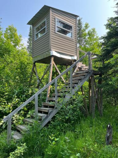 Deer stand with two flights of stairs!