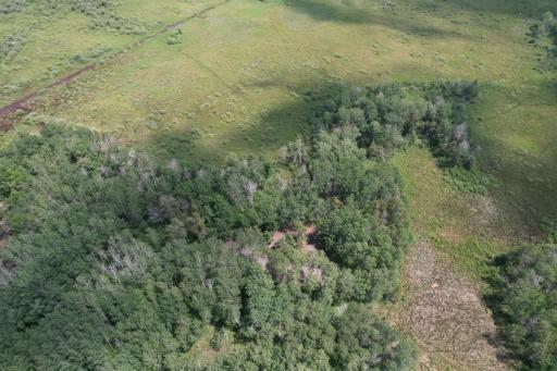 35032 219th Avenue, Menahga, MN 56464