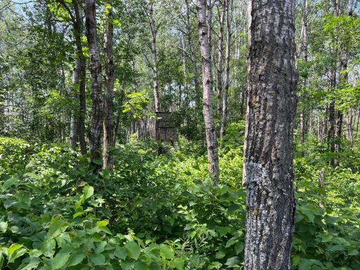 35032 219th Avenue, Menahga, MN 56464