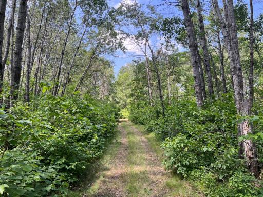 35032 219th Avenue, Menahga, MN 56464