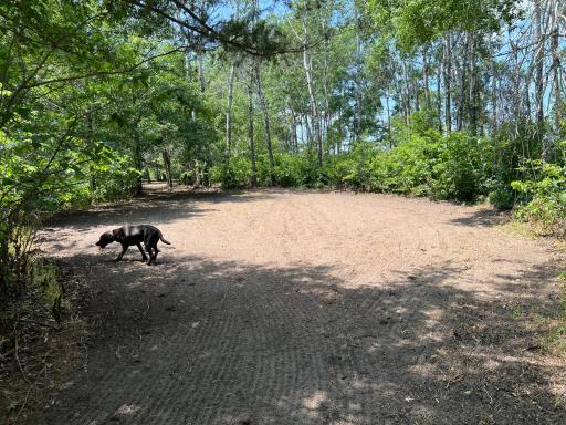 35032 219th Avenue, Menahga, MN 56464