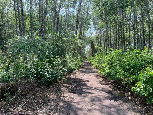 35032 219th Avenue, Menahga, MN 56464