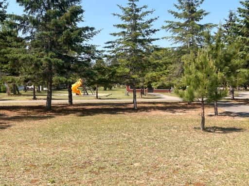 539 Highland Resort Road NE, Cass Lake, MN 56633