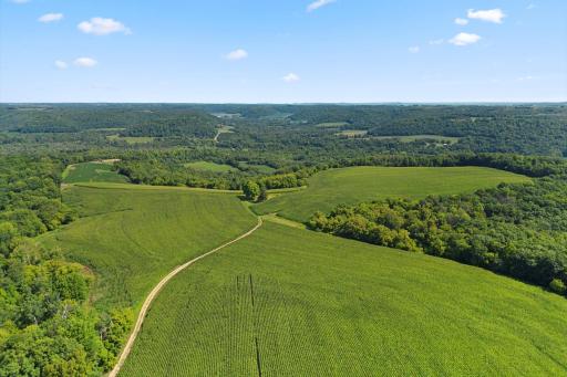 W9197 Goat Back Road, Pepin, WI 54759