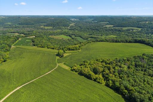 W9197 Goat Back Road, Pepin, WI 54759