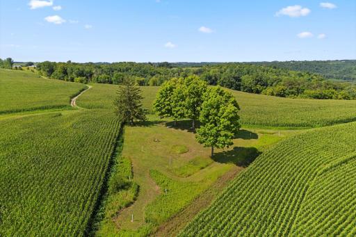 W9197 Goat Back Road, Pepin, WI 54759