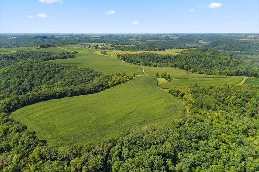 W9197 Goat Back Road, Pepin, WI 54759