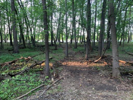 TBD Town Rd 140, Baudette, MN 56623