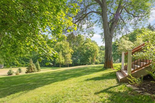 Huge backyard for kids to play or dogs to run