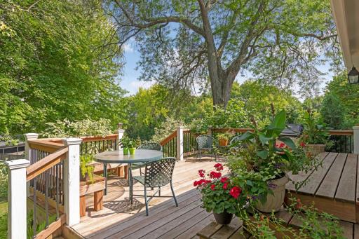 Newer Cedar deck flows out the the backyard.