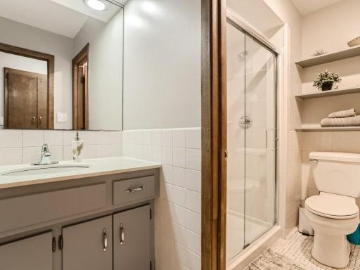 Lower-Level Bathroom