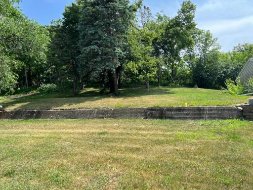 view of backyard.jpg