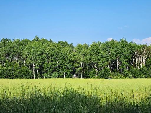 000 Beaver Claw Road, Brook Park, MN 55007