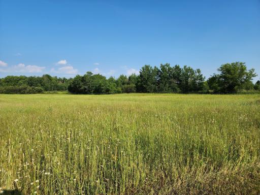 000 Beaver Claw Road, Brook Park, MN 55007