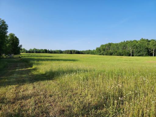 000 Beaver Claw Road, Brook Park, MN 55007