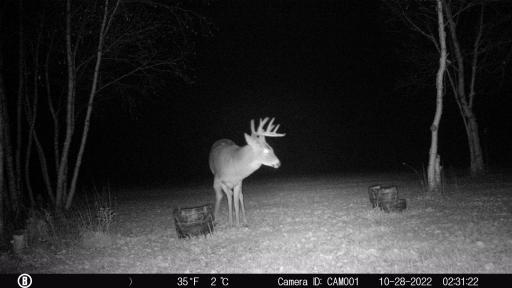 000 Beaver Claw Road, Brook Park, MN 55007