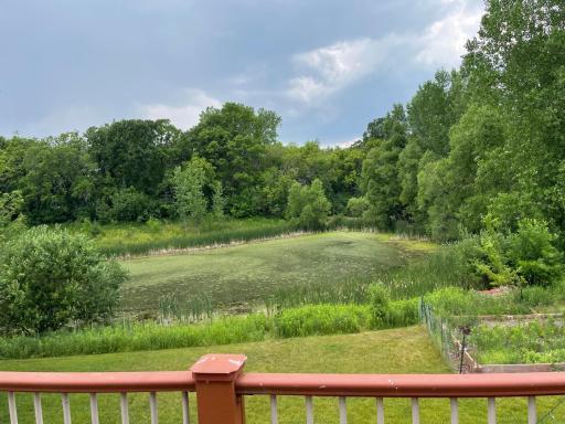 Deck pond view