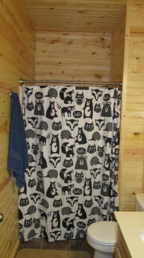 Downstairs Pine Bathroom.jpg