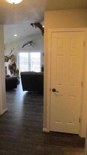 View From Bedrooms.jpg