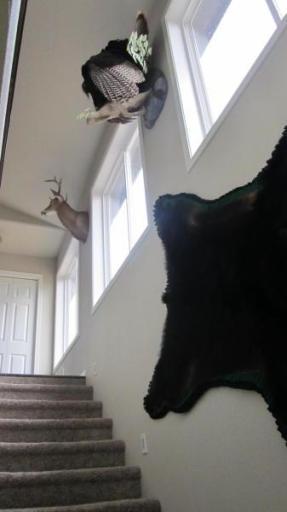 Staircase going upstairs.jpg