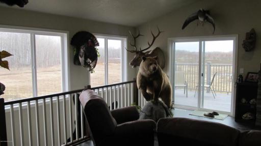 Lots of WIndows with Great Views.jpg