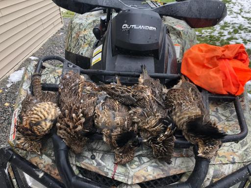 Excellent Grouse Hunting.jpg