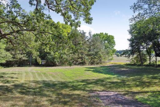 Spacious, Private Backyard