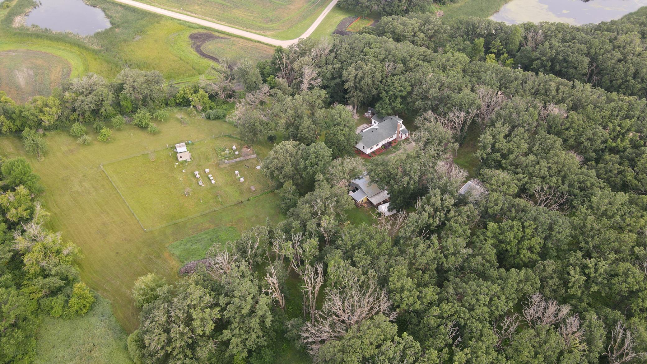 dji_fly_20230627_081230_345_1687871561452_photo.jpg