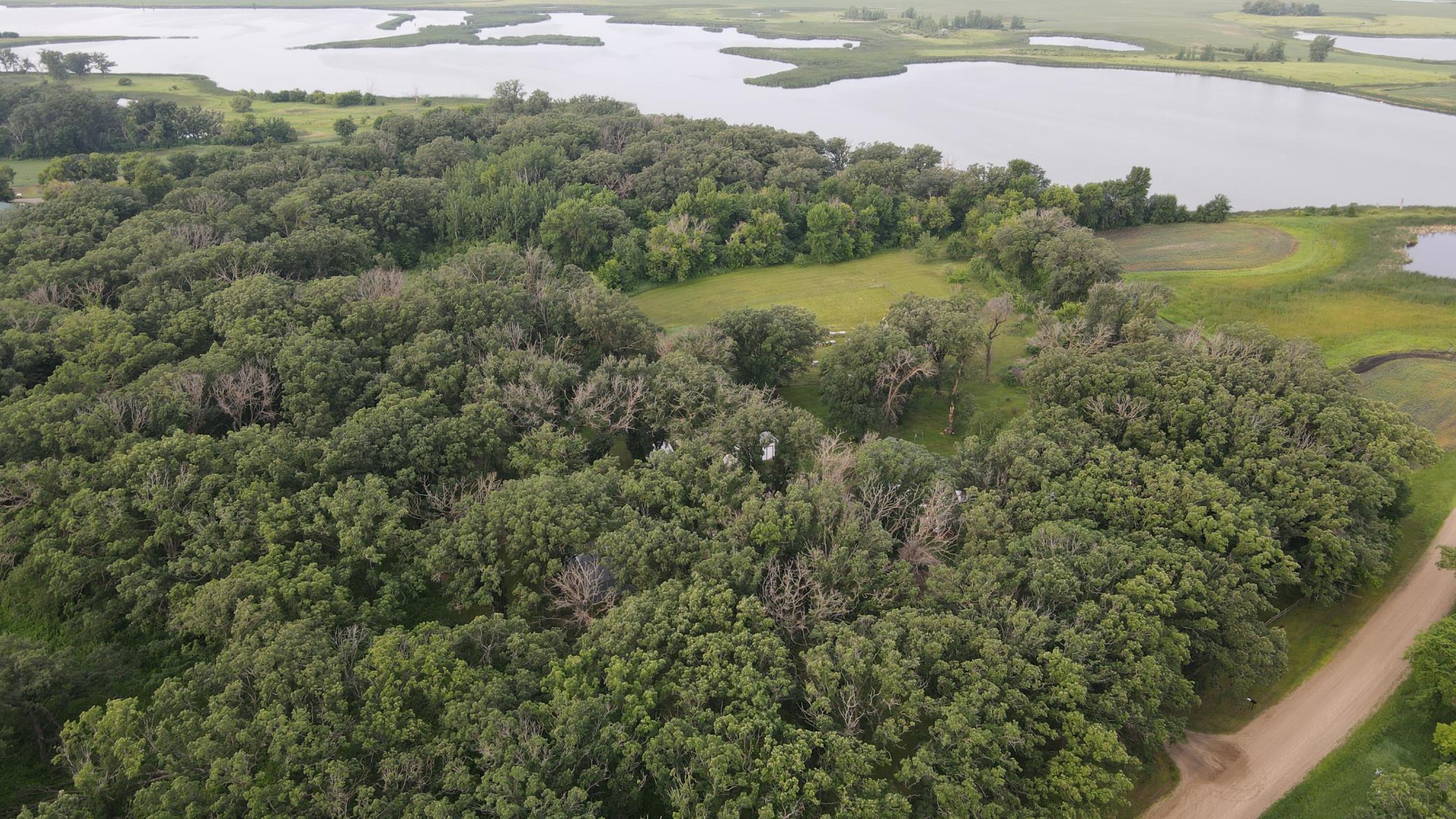 dji_fly_20230627_073440_309_1687869334183_photo.jpg