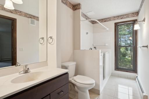 Owners Suite Bathroom with Walk-In jacuzzi tub.jpg