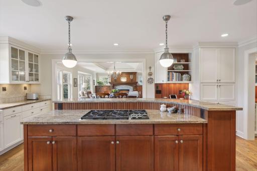 6 Spring Marsh Lane, North Oaks, MN 55127