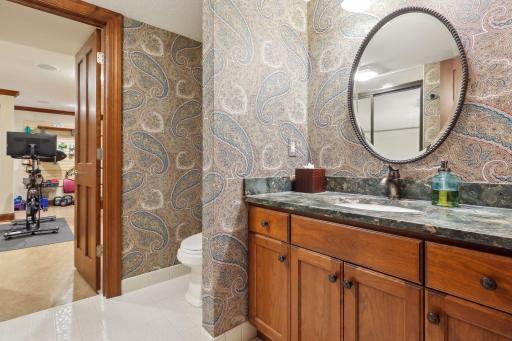 6 Spring Marsh Lane, North Oaks, MN 55127