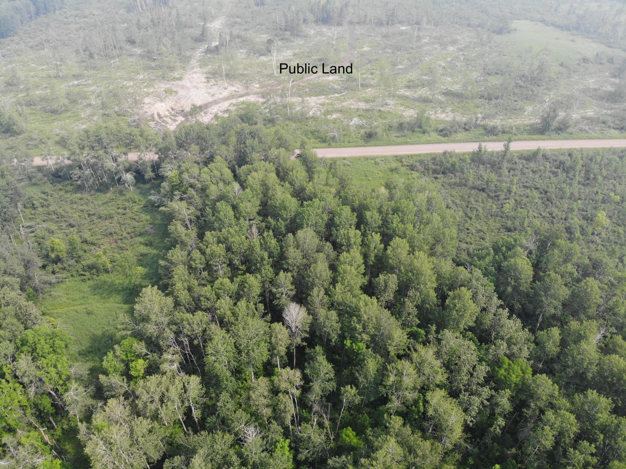 aerial 1.JPG
