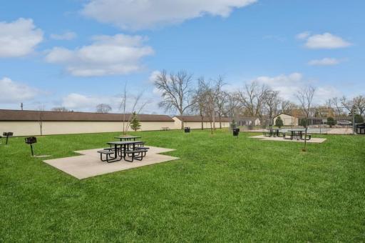Common garden and picnic area