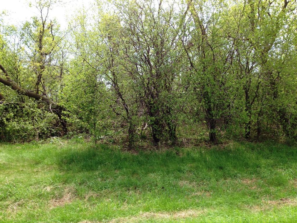 Photo for 40519 Pine View Drive, Sauk Centre, MN 56378 - Listing #6394565 40519 Pine View Drive, Sauk Centre, MN 56378