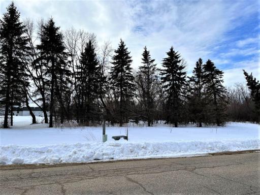 40519 Pine View Drive, Sauk Centre, MN 56378
