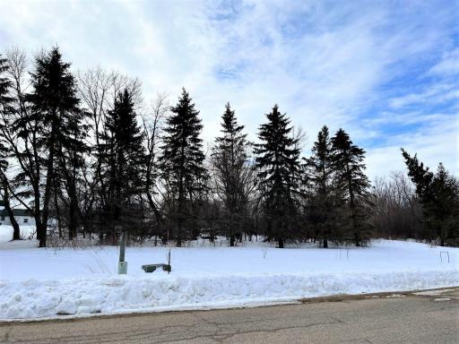 40519 Pine View Drive, Sauk Centre, MN 56378