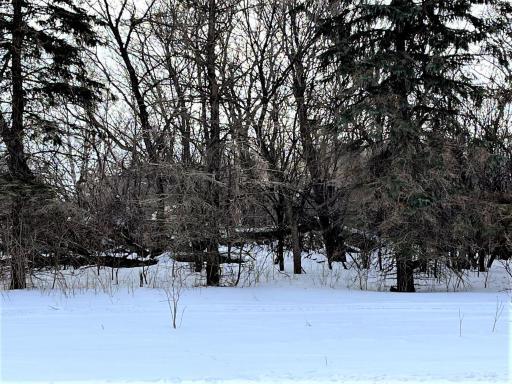 40519 Pine View Drive, Sauk Centre, MN 56378