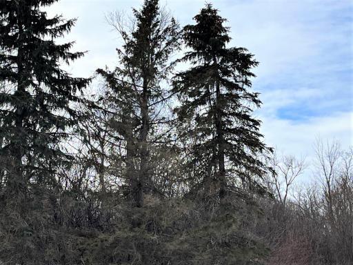 40519 Pine View Drive, Sauk Centre, MN 56378