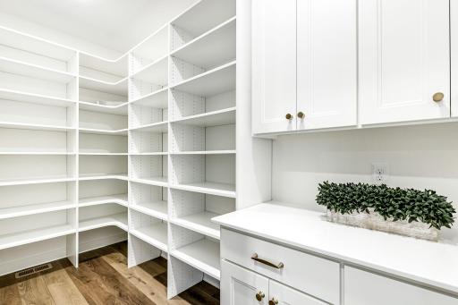 Generous size walk in pantry has room for everything you need.