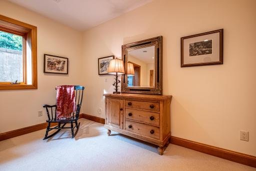 Lower level bedroom features daylight windows and a closet.