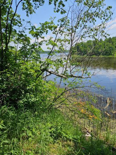 lot1 Hooper Creek Loop, Baudette, MN 56623