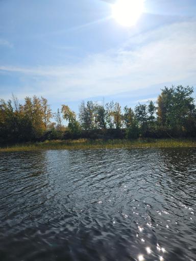 Photo for lot6 Hooper Creek Loop, Baudette, MN 56623 - Listing #6395601 lot6 Hooper Creek Loop, Baudette, MN 56623