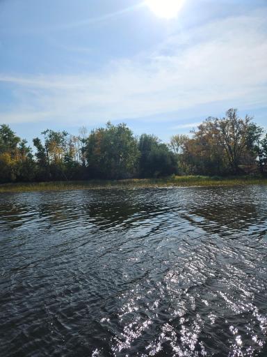 Photo for lot8 Hooper Creek Loop, Baudette, MN 56623 - Listing #6395606 lot8 Hooper Creek Loop, Baudette, MN 56623
